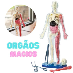 Anatomia Humana 3D Kids